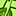 DaveEvGUEST2
